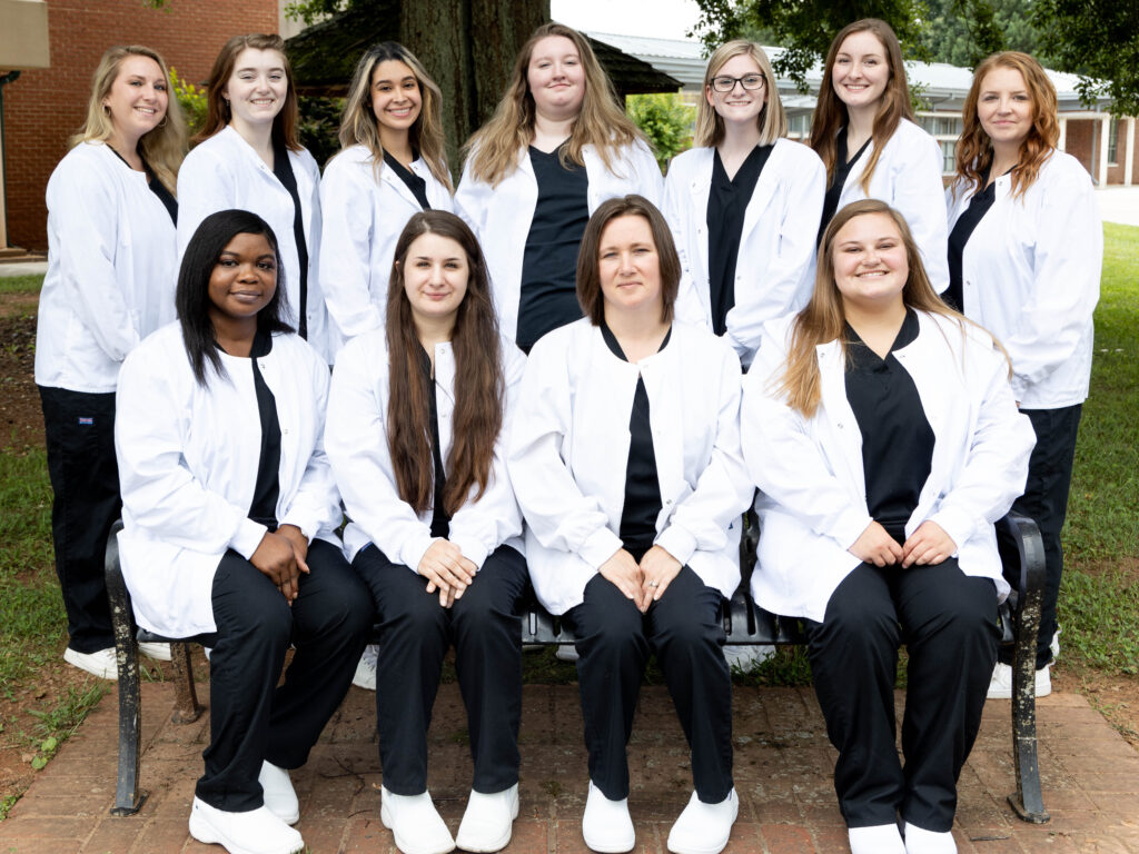 Clarkesville Medical Assisting students pictured (seated front left to right): Porcha Burtch; Micha Swain; Michele Roach; Brianna Henslee; (back left to right) Ashley Cummings; Raquel Berghoefer; AnnaKaren Rincon; Kayla Smith; Kayla Keller; Lauren Brown; and Amber Harrelson.  
